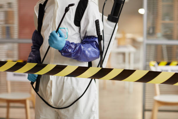 Professional Biohazard Cleanup technician working in Springfield, GA
