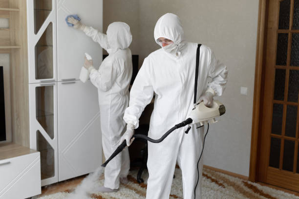 Trusted Hoarding Cleanup service in Springfield, GA - Four Month Blood Cleanse