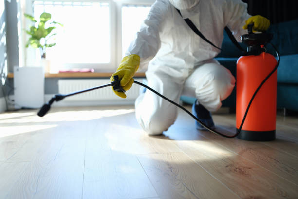 Trusted Biohazard Cleanup service in Springfield, GA - Four Month Blood Cleanse